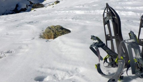 Raquetas en Gredos
