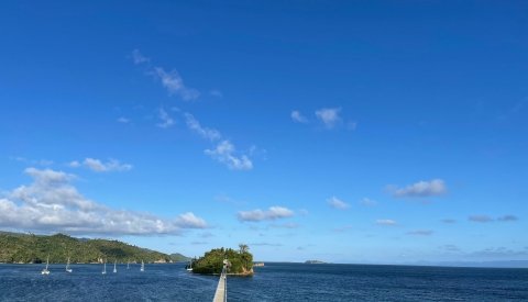 Dominicana en esencia