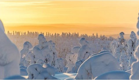 Auroras Boreales Escandinavas