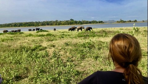 Maravillas de Sri Lanka