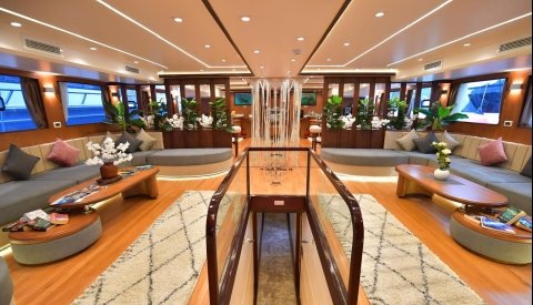 Nadar con delfines en libertad