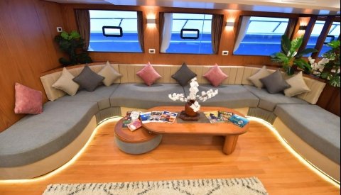 Nadar con delfines en libertad