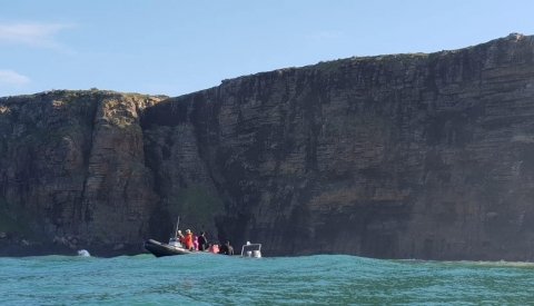 Sardine Run Sudafrica