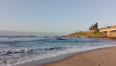 Sardine Run Sudafrica