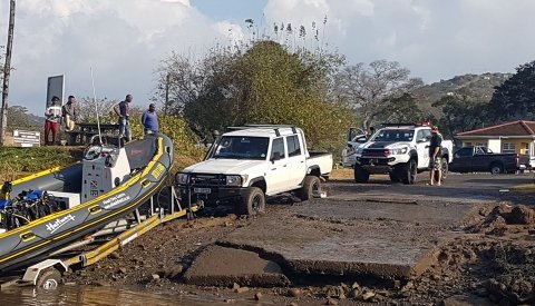 Sardine Run Sudafrica
