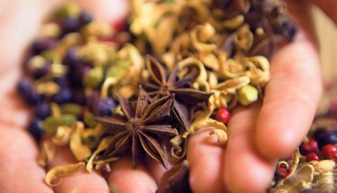 Relax y Bienestar en Cádiz