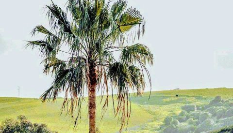 Relax y Bienestar en Cádiz