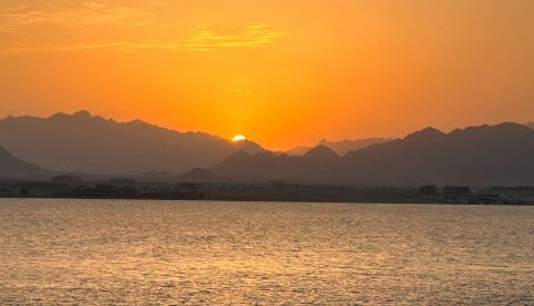 Nadar con delfines en libertad