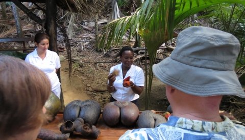 Crucero exclusivo LGTBQ+