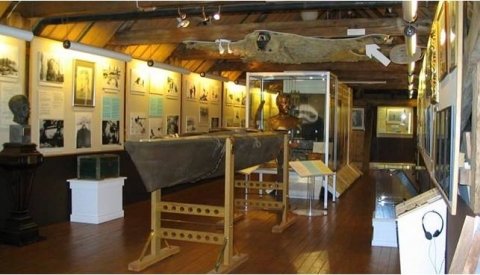 Auroras Boreales Escandinavas