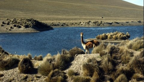 Los enigmas de Perú