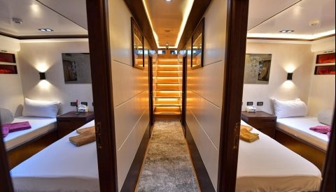 Nadar con delfines en libertad