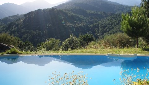 Verano Mágico en Gredos