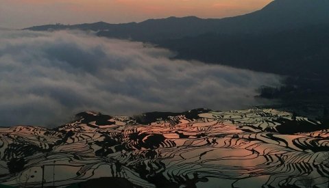 China Tradicional: Shangri-La