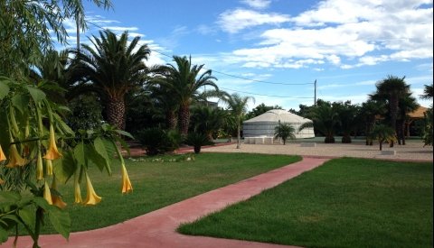 Retiro de yoga en Benicarló