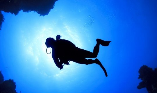 Viajes de buceo