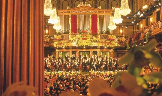 Concierto fin de año en Viena