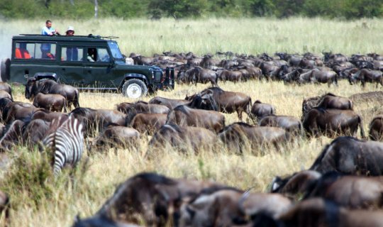 Fin de Año Okavango y cataratas Victoria