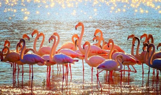 Conexión Natural. Ecoturismo