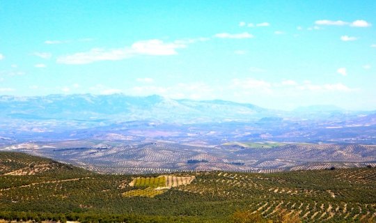 Descubriendo Baeza y Úbeda