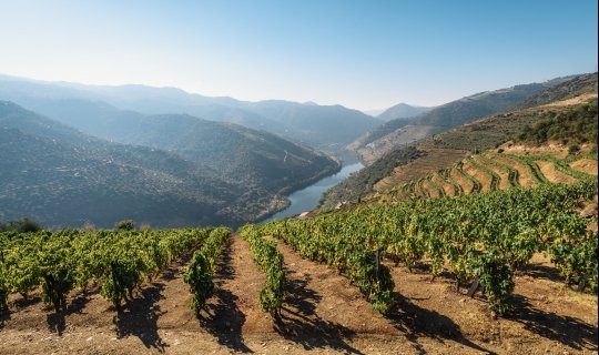 Escapada a Arribes del Duero
