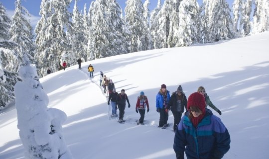 Raquetas en el Pirineo Catalán
