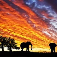 Tanzania masai y Zanzíbar