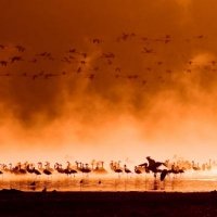 Delta del Okavango y cataratas Victoria