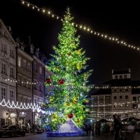 Mercadillos en Polonia