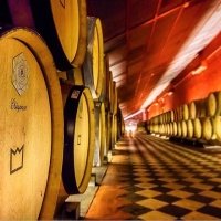 Siente Extremadura Single