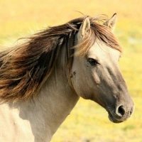 Monoparental en Grazalema