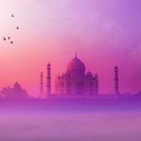 India Festival Holi