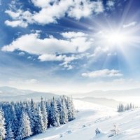 La blanca Selva Negra