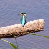 Conexión Natural. Ecoturismo