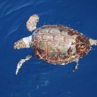 Descubriendo el mar con niños