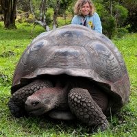 Galápagos Single