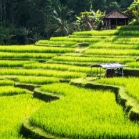 Vietnam y Camboya