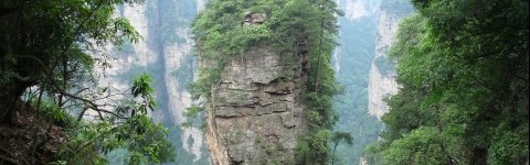 China Avatar