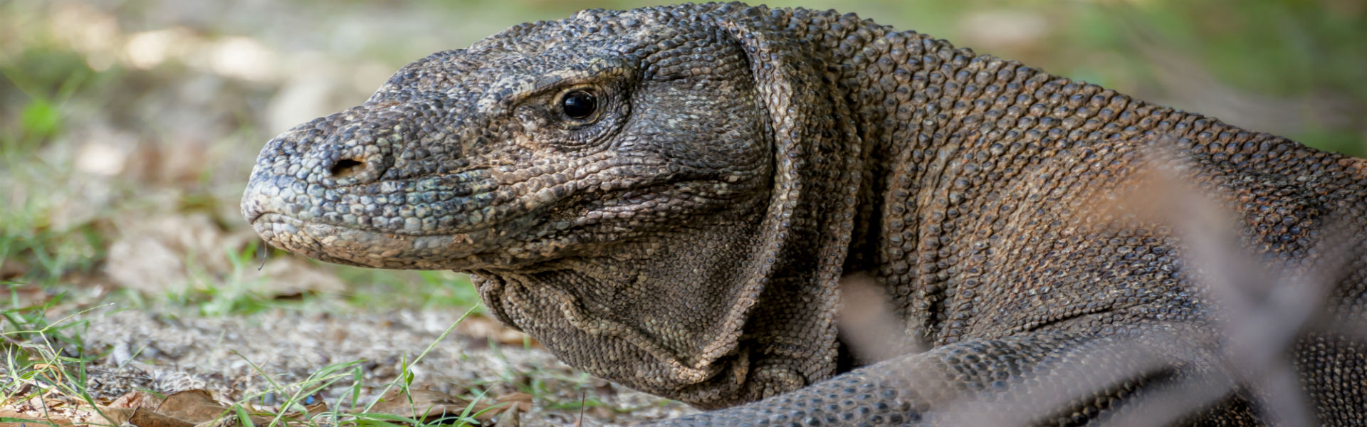 Bali y Komodo Viajar Solo